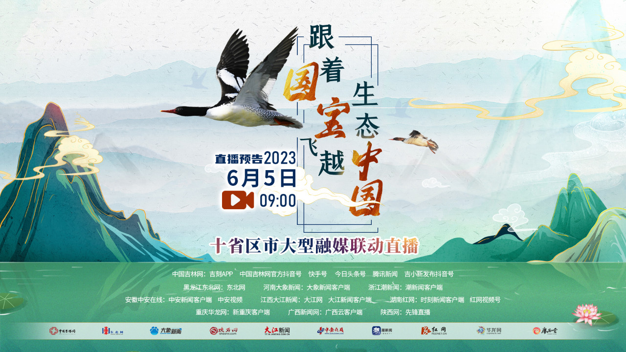 十省区市大联播 带您跟着“国宝”飞越生态中国