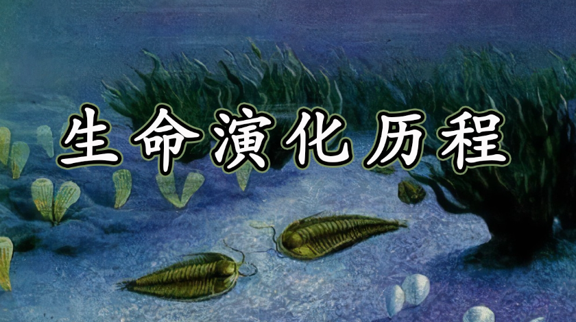 史前生命与地质演变科普之生命演化历程